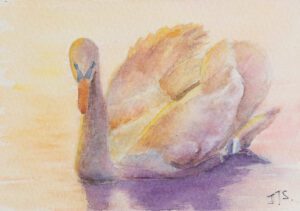 Watercolor Aquarelle Abendhauch der Schwan