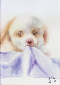 Watercolor, Puppy, 13,5 x 19 cm