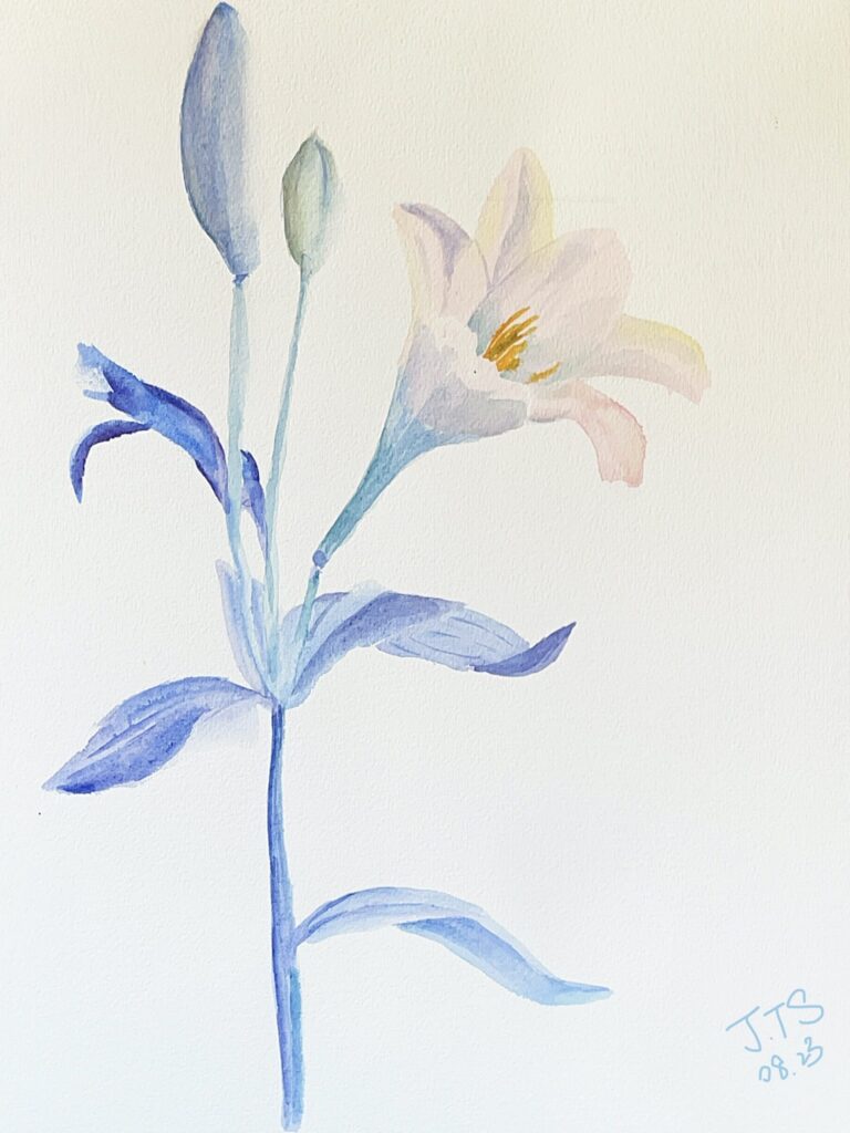 Watercolor, Lilie